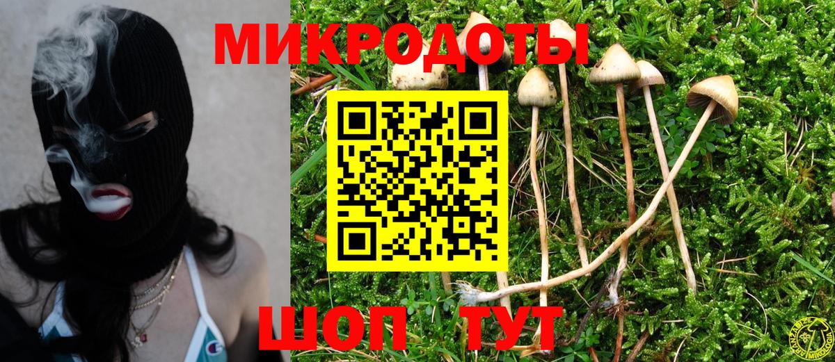 Псилоцибиновые грибы Psilocybe  Вход с VPN  Ивантеевка 